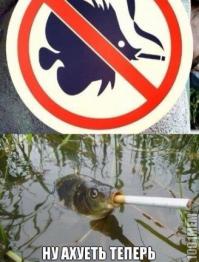 15 примеров гражданского неповиновения