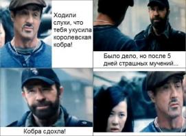 Интересные факты из жизни Чака Норриса