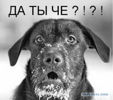 Не человеческий шок!