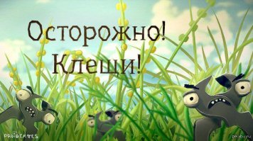 Клещи! Страшные создания