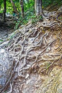 Лето 2013, Крым, подъем по Большому каньону. Красота там волшебная.