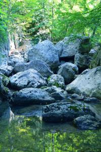 Лето 2013, Крым, подъем по Большому каньону. Красота там волшебная.