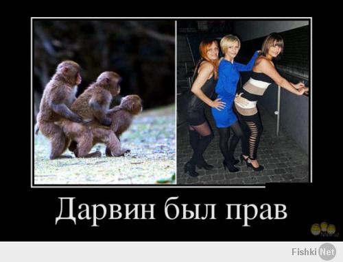 еще про эволюцию