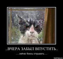 Подборка видео от 19.06.2014