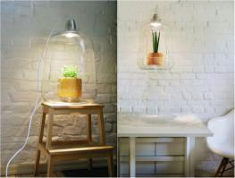 Что-то мне кажется что совсем не цветочки будут в это выращивать