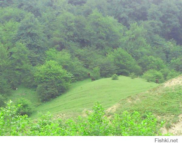 Норвегия это хорошо, но не стоит забывать, что у нас есть не менее живописные места.
Этим летом сам фоткал, шашлычки, природа, экстрим..... море впечатлений, в следующем году тоже поеду.