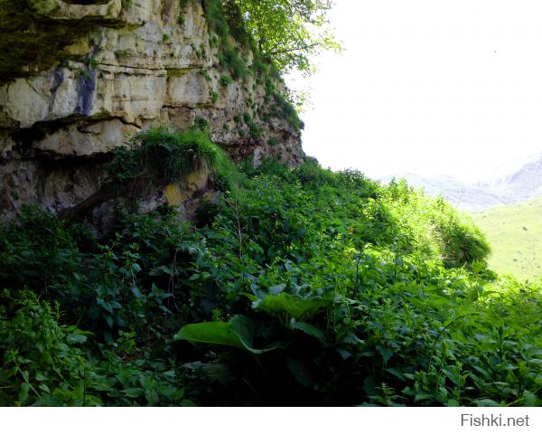Норвегия это хорошо, но не стоит забывать, что у нас есть не менее живописные места.
Этим летом сам фоткал, шашлычки, природа, экстрим..... море впечатлений, в следующем году тоже поеду.