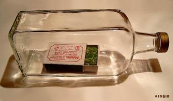 Мир в бутылке: необычные картины Джима Дингильена  