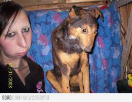 Опять показалось