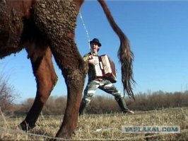 Загадка на фотографии