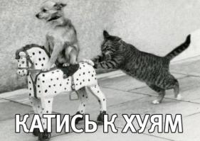 Путин. Лучшие приколы интернета