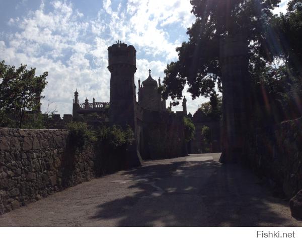 на телефон снимал этим летом)