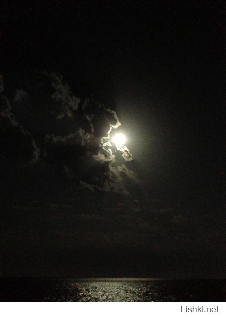 на телефон снимал этим летом)