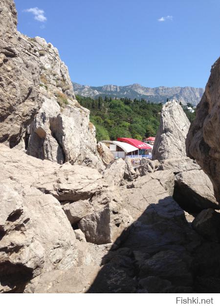 на телефон снимал этим летом)