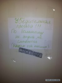 Мои 5 копеек. Фото с работы