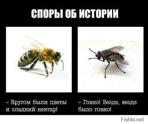 Милейший, вы во многом неправы. Вероятно, вы стараетесь видеть только худшее, или вовсе остались в девяностых.

Взять к примеру садики. Мои дети попали в садик в 3,5 года. По обычной очереди, в обычный нормальный садик, который практически бесплатный. Мы оплачиваем лишь как бы "питание", что-ли, это около и даже менее 1500 р. в месяц, это копейки. Детей в садике хорошо кормят, занимаются с ними, и т.д. 

Пенсии... Матушка моя получает пенсию по старости. Да, около десятки - негусто. Но скромненько прожить можно! А ещё есть родственник - тоже пенсионер, бывший полицейский - так тот ушел в отставку, и в принципе мог бы хоть работу найти, нормальный взрослый здоровый мужчина - ему пенсии вполне хватает.
Конечно, наши пенсионеры не могут вольготно путешествовать по миру на свои доходы.  Но хоть уже не нищенствуют. Как было дюжину лет назад. Вспомните. Или почитайте про то время.

В общем не так все плохо.

Просто, быть может, вы только на плохое стараетесь внимание обращать.