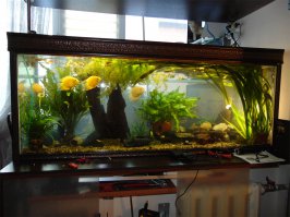 340 литров, вот фото как он выглядит через примерно 4 месяца после старта!