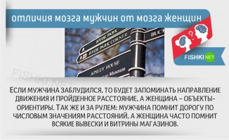 в общем мужик на дорогу смотрит, а баба по сторонам...