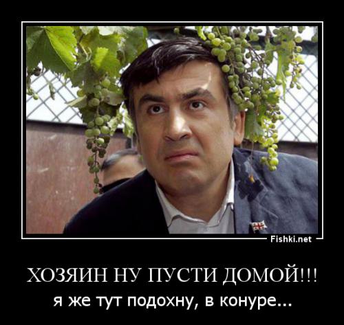 Саакашвили отказали в американской визе