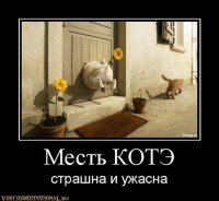 Отвоевал жилплощадь