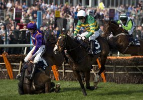 лошадку жалко...