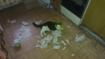 маё чуда,дастал уже бумагу таскать))