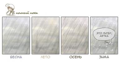 Смешные картинки с подписями