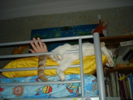 вот они с ребенком спят