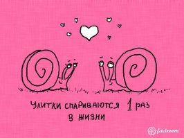 бред! мои улитки постоянно спариваются