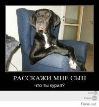  Довелось как-то поиграть в Call of Duty 