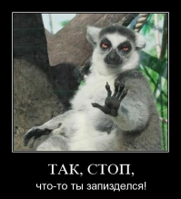 Топ-19 животных, которые убивают людей 