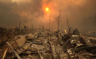 25 фотографий, которые могут удивить