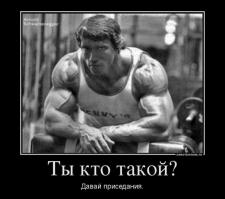 Приключения железного Арни