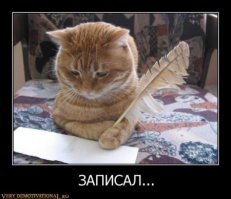 Интересные факты обо всем на свете