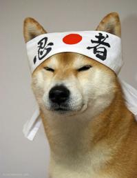 Самый симпатичный продавец