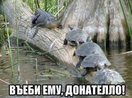 "Черепашки-ниндзя" - интересные факты о фильме