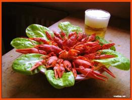 Немного о пиве