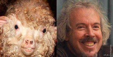 Как Канада встретила предателя?