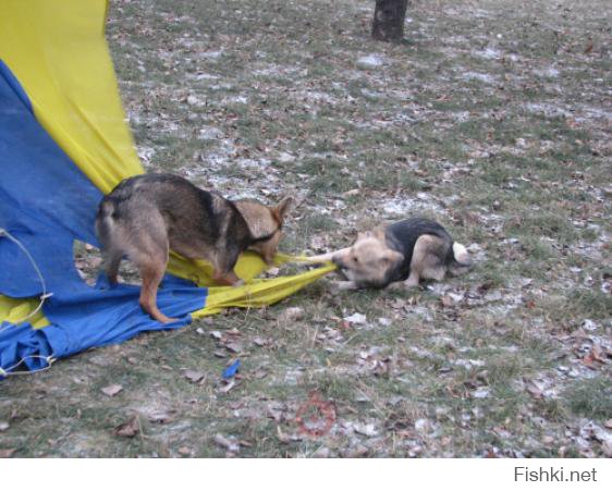 Зато ты в жопе!)))