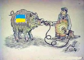 украинские животные)))