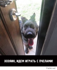 10 самых необычных домашних животных