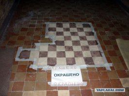 Всем бы таких соседей