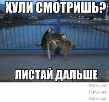 Ну, если еще раз нарвешься, то вот эту картинку вспомни))Слышь Мать, ты про интеллект то варюшку прикрой.