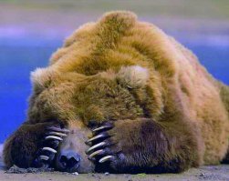 17 СМС от любящих отцов