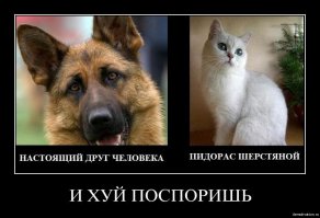 Как пес отплатил своему хозяину за спасение