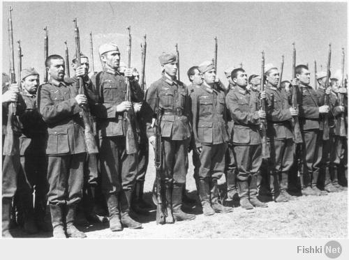 Украинские нацисты такие нацисты.