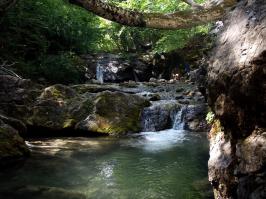 22 веских повода съездить в Румынию