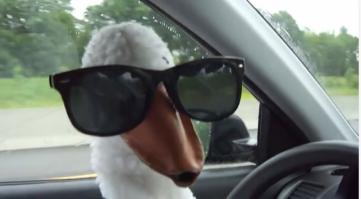 Сладкий сон