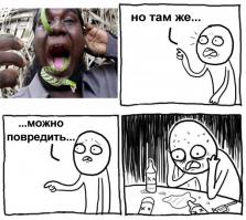 "Это всё Африка, детка ..."