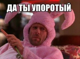 15 очень забавных выражений «лиц», которые сделают ваш день